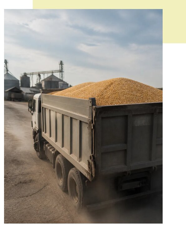 Перевозка сельхозпродукции навалом в Коломну по цене от 3042 р. | Агросервис-Клм