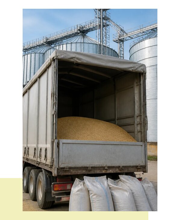 Перевозка фуражного зерна в Коломну с гарантией сроков
